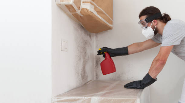 Professional Bathroom Mold Removal technician working in Nederland, TX